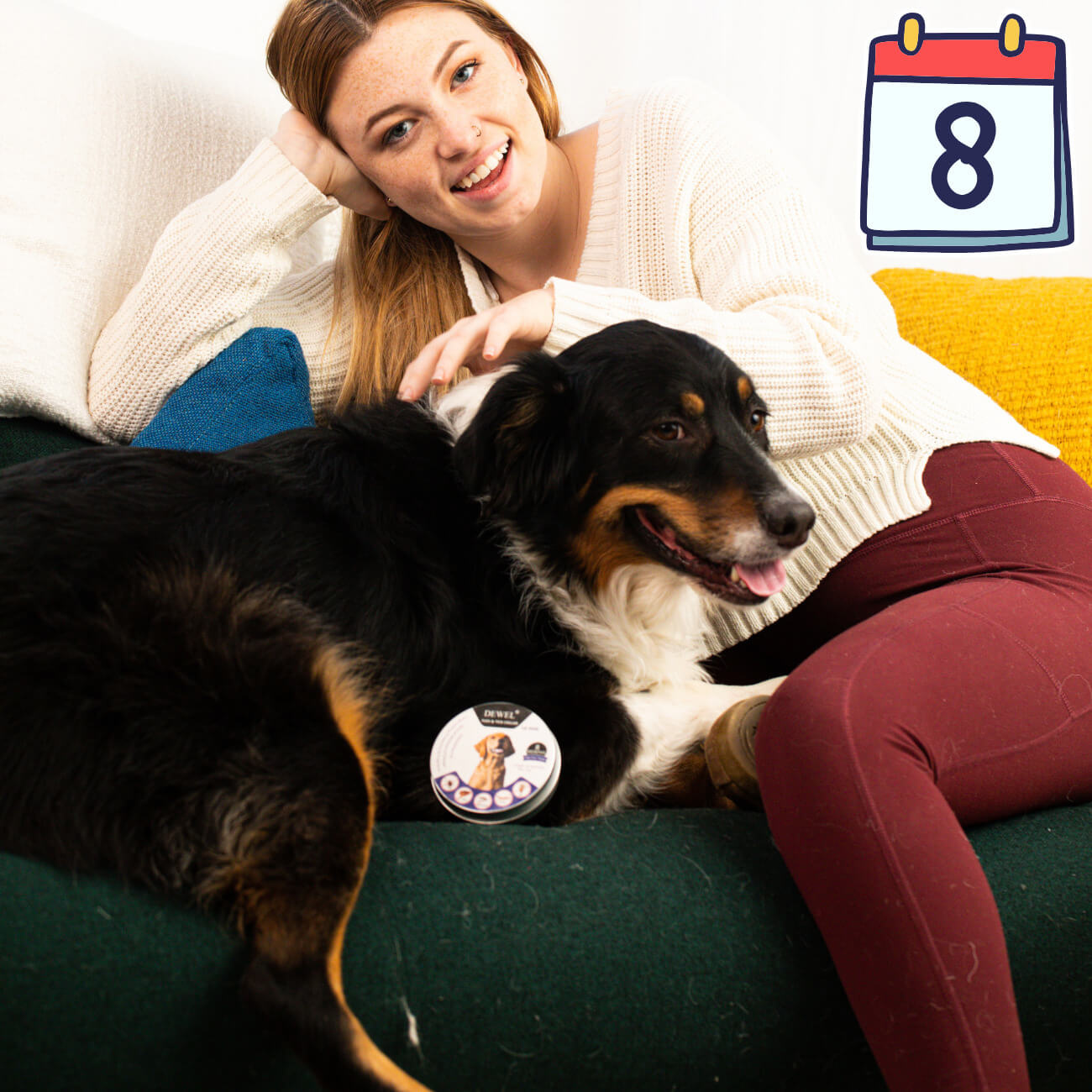 Why DEWEL Is One of the Best Flea and Tick Prevention Options for Dogs?