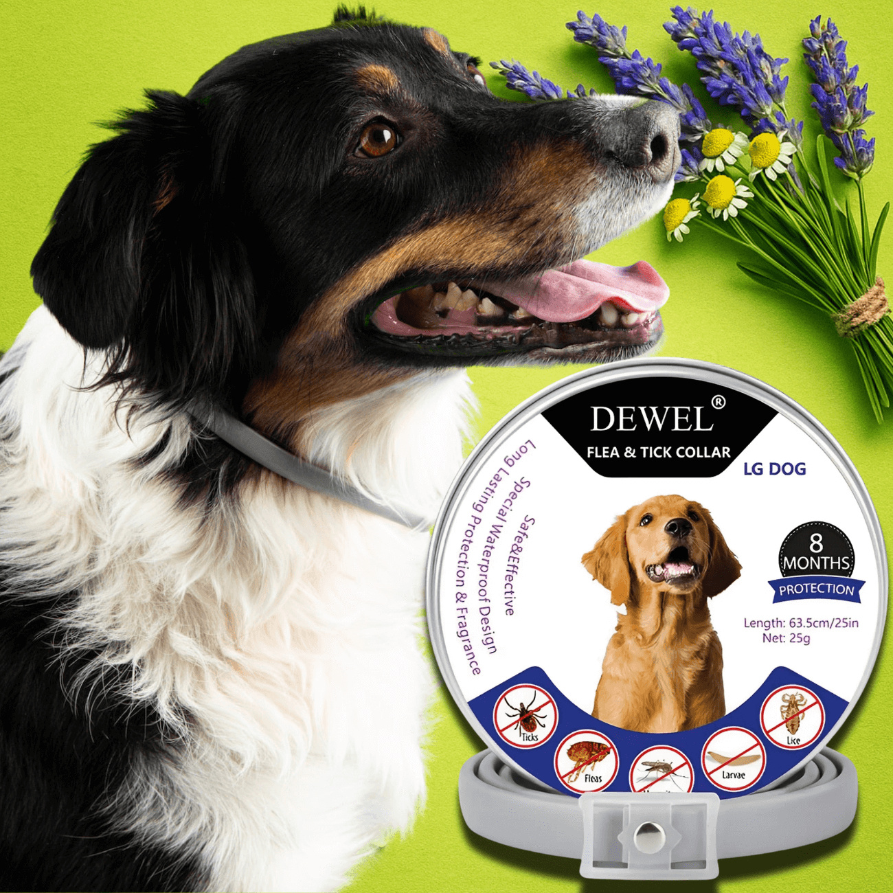 DEWEL Natural Collar: Built for Daily Flea and Tick Defense